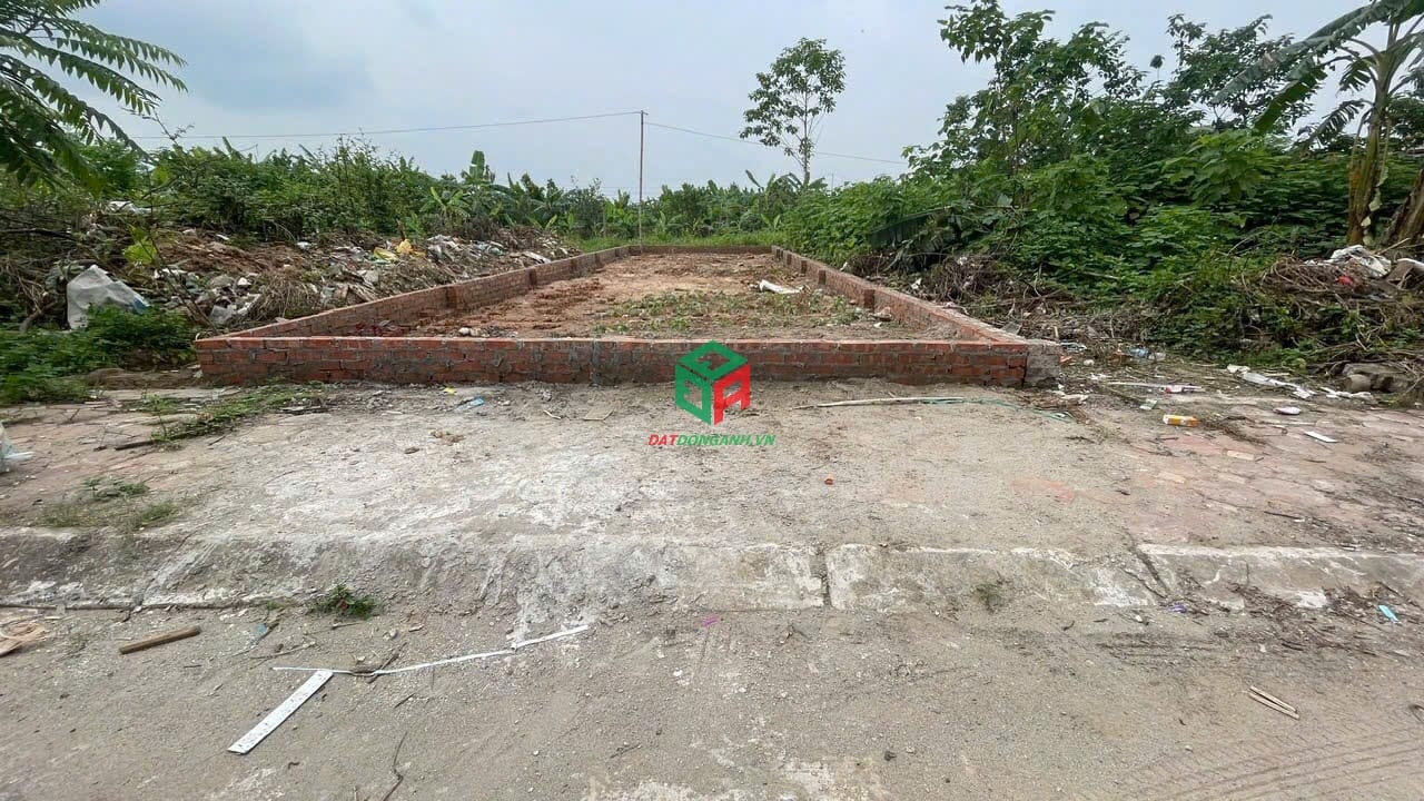 ✅ Bán đất đấu giá X6 Cán Khê Nguyên Khê - Quy hoạch đẹp - Ảnh 3